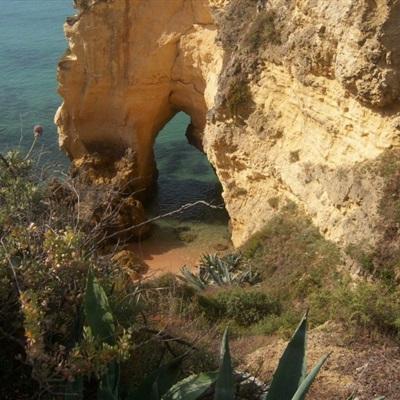 Bob体育综合APP下载客户端